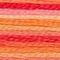 4120 Tropical Sunset