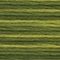 4066 Amazon Moss