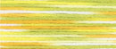 9004 мулине Cosmo меланж Seasons
