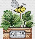 Кинза