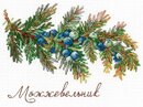 Дары природы. Можжевельник (12*16 см)